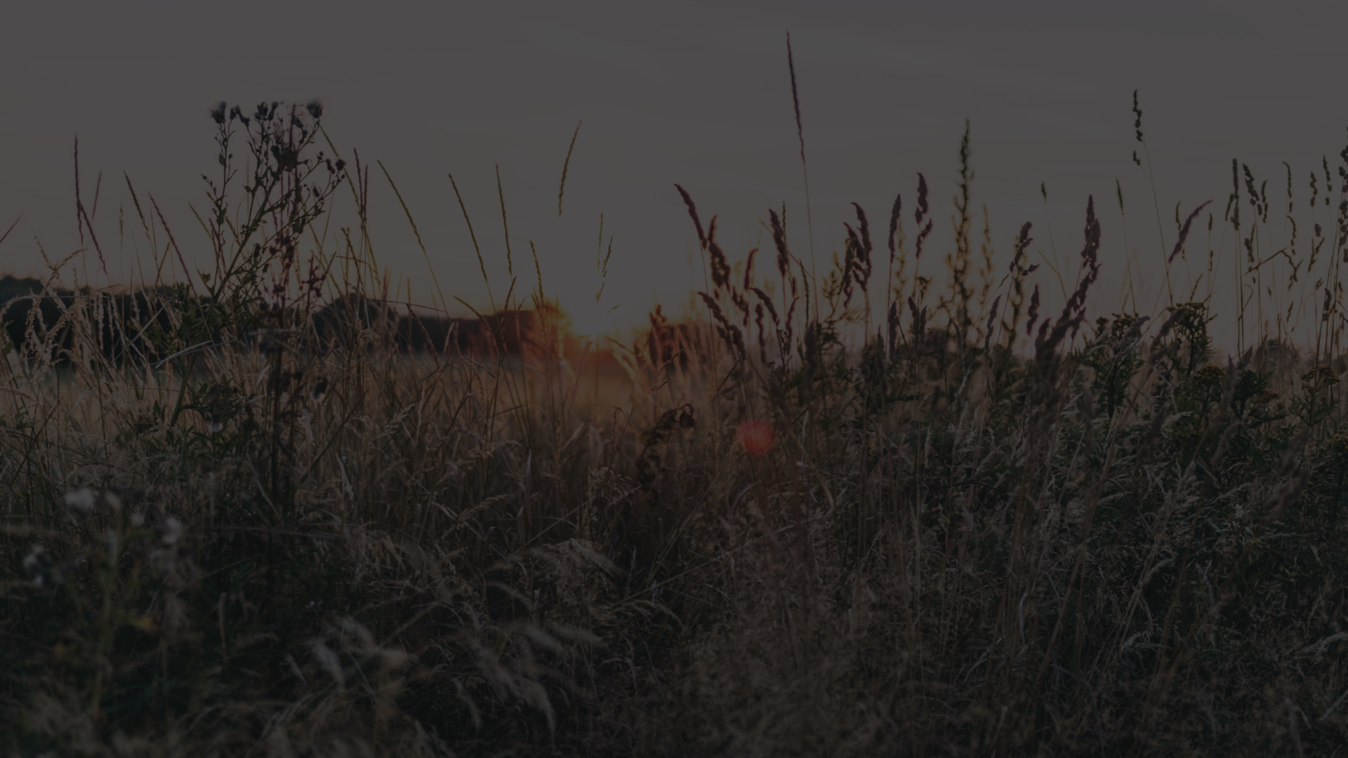 Baratomter Guide For Hemsidan .001 1