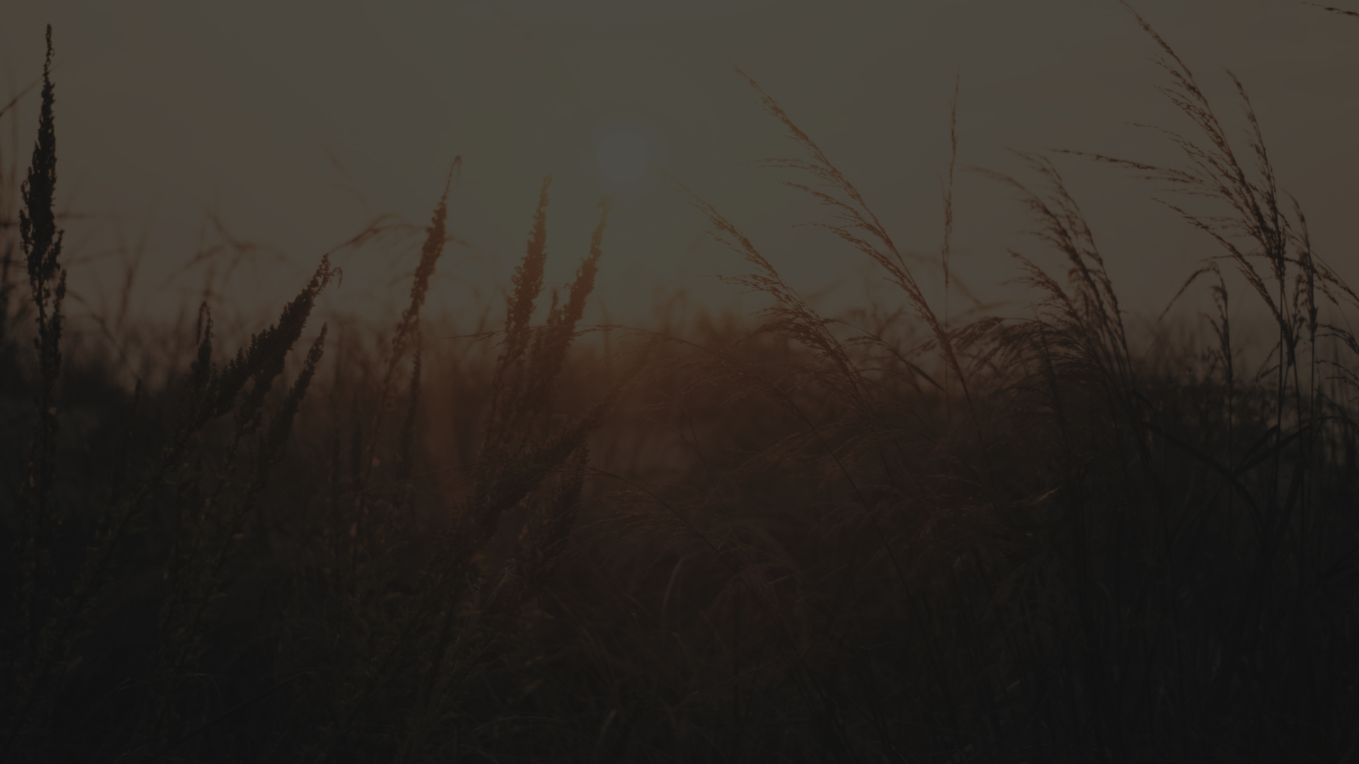 Baratomter Guide For Hemsidan .002